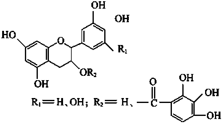 一、茶多酚